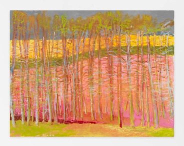 Trees Against Magenta, 2014, Oil on canvas, 40 x 52 inches, 101.6 x 132.1 cm, AMY#22145