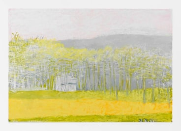 Narrow Stripe of Yellow Fields, 2015, Oil on canvas, 36 x 52 inches, 91.4 x 132.1 cm, AMY#22742