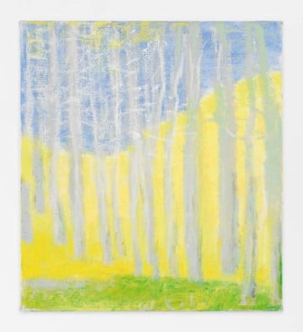 Pale Yellow, 2013, Oil on canvas, 20 x 18 inches, 50.8 x 45.7 cm, AMY#21296