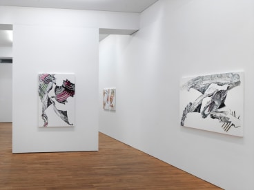 Installation view of&nbsp;Pia Fries: Madder rhizome Luisenkupper, 2011, Staatliche Kunsthalle Karlsruhe, Gr&uuml;ner Saal.