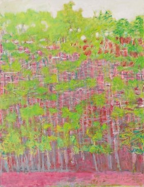 Pink, Yellow, Green, 2010, Oil on canvas, 52 x 40 inches, 132.1 x 101.6 cm, A/Y#19060