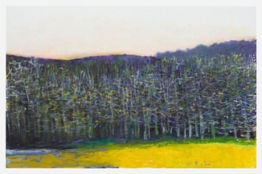 Wolf Kahn, First Haze of Spring, 2016, Oil on canvas, 40 x 62 inches, 101.6 x 157.5 cm, AMY#28311