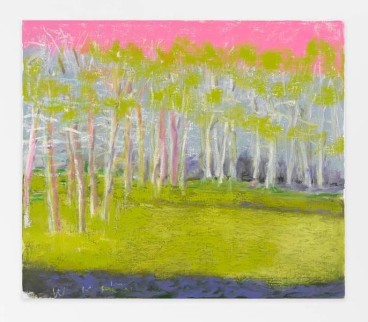 Sky the Color of Light Magenta, 2015, Oil on canvas, 24 x 28 inches, 61 x 71.1 cm, AMY#22645