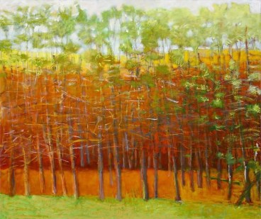 Orange Fantasia, 2010, Oil on canvas, 44 x 52 inches, 111.8 x 132.1 cm, A/Y#19058