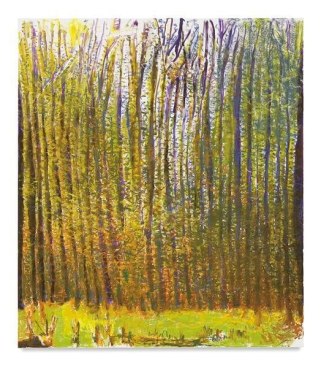 Summer Light Caught in the Woods, 2017, Oil on canvas, 60 x 52 inches, 152.4 x 132.1 cm, AMY#28808