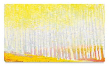 Warm Yellow on the Lower Left, 2016, Oil on canvas, 30 x 52 inches, 76.2 x 132.1 cm, AMY#28625