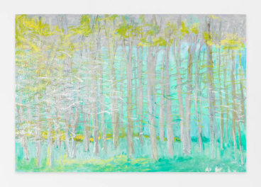 April Woods, 2014, Oil on canvas, 30 x 44 inches, 76.2 x 111.8 cm, AMY#22144