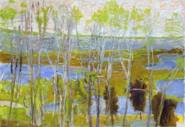 Marsh, 2013, Oil on canvas, 36 x 52 inches, 91.4 x 132.1 cm, A/Y#21299