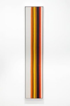 Number 1-36, 1962, Magna on canvas, 79 x 15 inches, 200.6 x 38.1 cm, MMG#22202