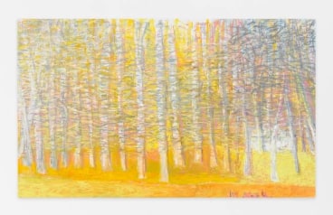 White Cabin in the Woods, 2015, Oil on canvas, 36 x 60 inches, 91.4 x 152.4 cm, AMY#22655