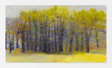 Stand of Oaks, 2015, Oil on canvas, 26 x 46 inches, 66 x 116.8 cm, AMY#22743