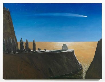Nessun Dorma, 2014, Oil on canvas, 60 x 78 inches, 152.4 x 198.1 cm, AMY#21636