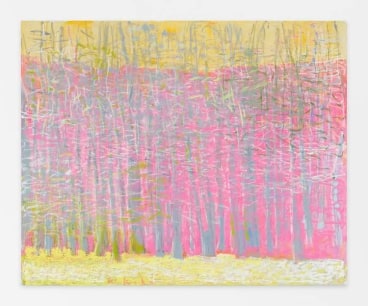 Trees in March, 2014, Oil on canvas, 42 x 52 inches, 106.7 x 132.1 cm, AMY#22314