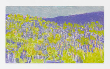 The Purple Slope, 2015, Oil on canvas, 30 x 52 inches, 76.2 x 132.1 cm, AMY#22646