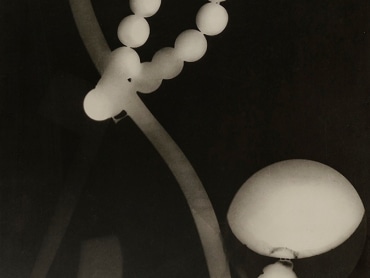 An image of a black and white photogram.