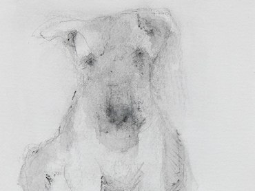 Laura Adler: Recent Dog Drawings