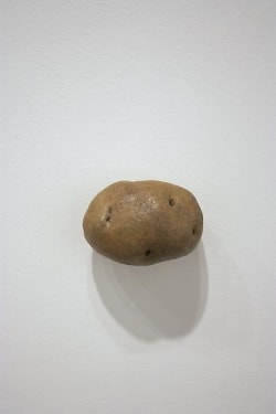 MARGARET LEE Potato