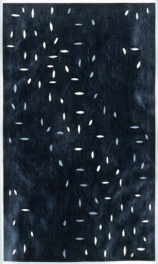 CAROLE SEBOROVSKI, Mondrian&#039;s Night