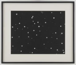 Fred Tomaselli at the Metropolitan Museum of Art