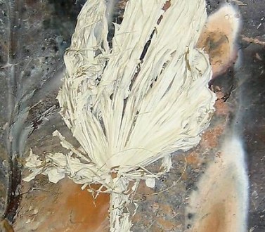 Detail of Anselm Kiefer's work
