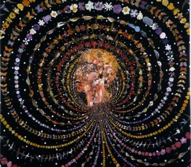 Fred Tomaselli at the Modern Art Museum Fort Worth