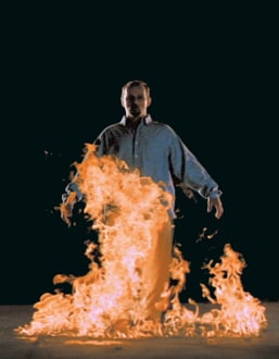 Bill Viola at the Indianapolis Museum of Art