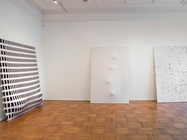 Jarbas Lopes: A Line  Installation View