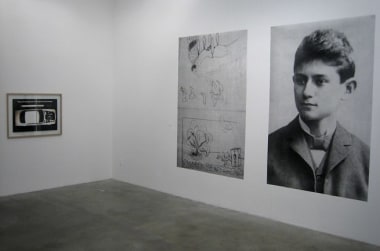Galerie Daniel Buchholz, Cologne at Metro Pictures. Installation View.