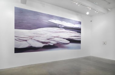 &quot;Fitting at Metro Pictures,&quot; installation view, 2011. Metro Pictures, New York.