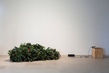 William Leavitt installation of a microphone, plywood box, and artificial plants
