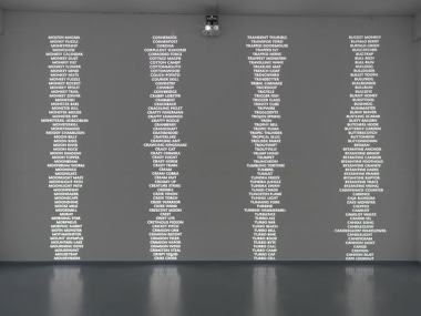 Trevor Paglen, &ldquo;Code Names of the Surveillance State.&rdquo; Installation view, 2014. Metro Pictures, New York.
