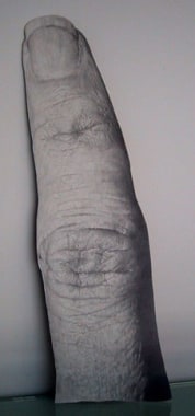 Finger, 2003. Graphite on rag board gessoed to wood, 31 1/2 x 9 inches. MP 150