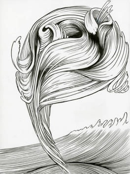 Forces of Nature/Hair, 2011. Ink on paper, 12 x 9 inches (image size), (30.5 x 22.9 cm); 14 5/8 x 11 5/8 inches (frame size), (37.1 x 29.5 cm). MP D-495