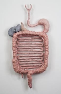 Dream Object (Digestive Tract Sculpture), 2007. Magic sculpt over re-bar and wire mesh, 50 x 28 x 8 inches (127 x 71.1 x 20.3 cm). MP 190