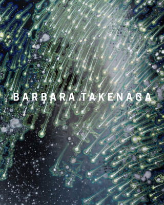 Barbara Takenaga: Waiting in the Sky