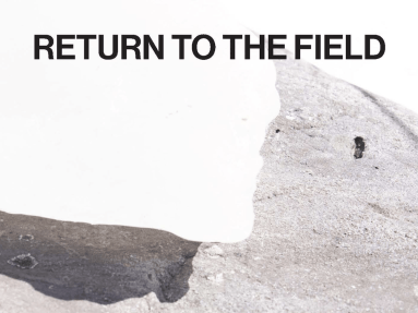 This is an image of the cover of the publication "Return to the Field". 