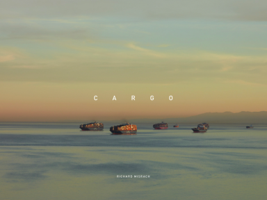 Lens/cratch | Richard Misrach: Cargo