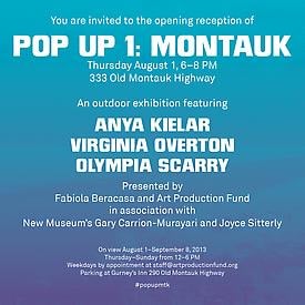 Virginia Overton at Pop Up 1: Montauk