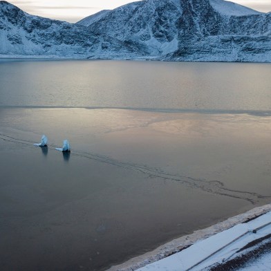 An Arctic Procession by Stephanie Imbeau