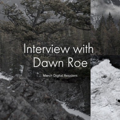 Dawn Roe: Residency and Interview