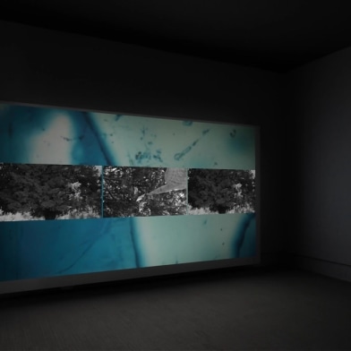 Dawn Roe in exhibition at Cornell Fine Arts Museum