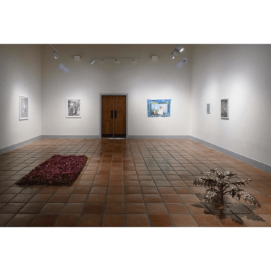 Sandi Haber Fifield in Group Exhibition