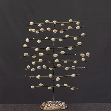 James Henkel: Cynosure at Converse University