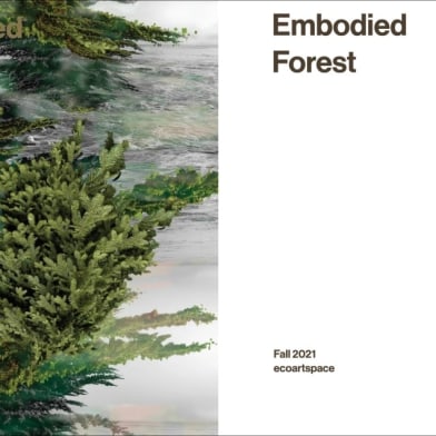 Dawn Roe's: 'Wretched Yew' Included in ecoartpace Embodied Forest Exhibition and Publication