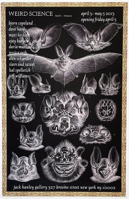 Images of bat heads and bat wingspans 