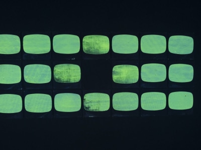Tony Conrad