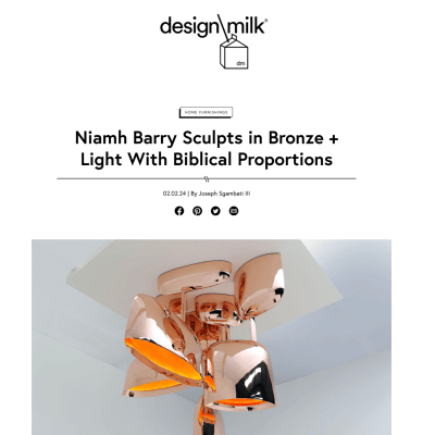 Design milk barry niamh