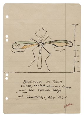 &quot;Crane Fly as a sculpture. Very large, wooden slat legs and body, wings covered with silk. Also butterflies, giant wings&quot;, ca. 1968