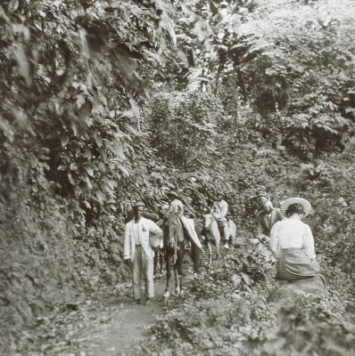 Herbert Bell, Photographs of Dominica and Dominican life, ca. 1900-1920