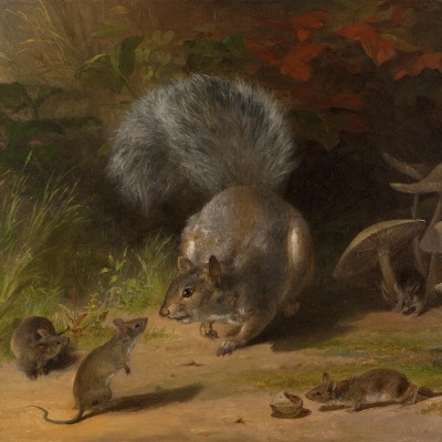 William Holbrook Beard (1824–1900), Squirrel and Mice, 1859. Oil on canvas. 14 1/8 x 16 1/8 in. (detail)